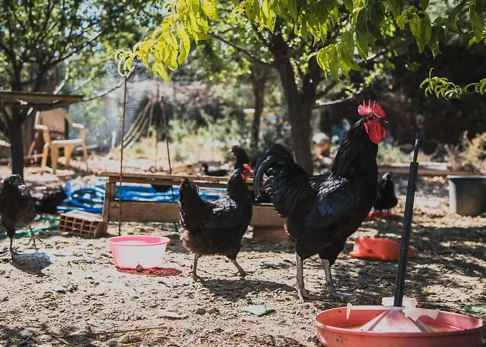 Huzur ホテル Siğacık